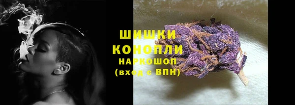 PSILOCYBIN Беломорск