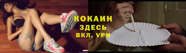 крисы Белоозёрский