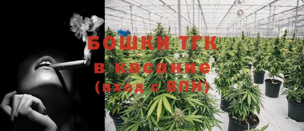дмт Белокуриха