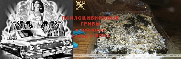 дмт Белокуриха
