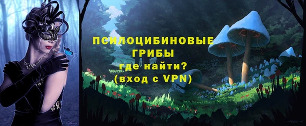 PSILOCYBIN Беломорск