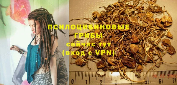 дмт Белокуриха